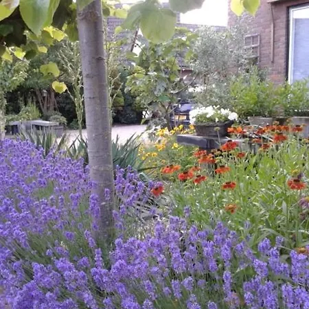 De Verwennerij Bed & Breakfast Ermelo
